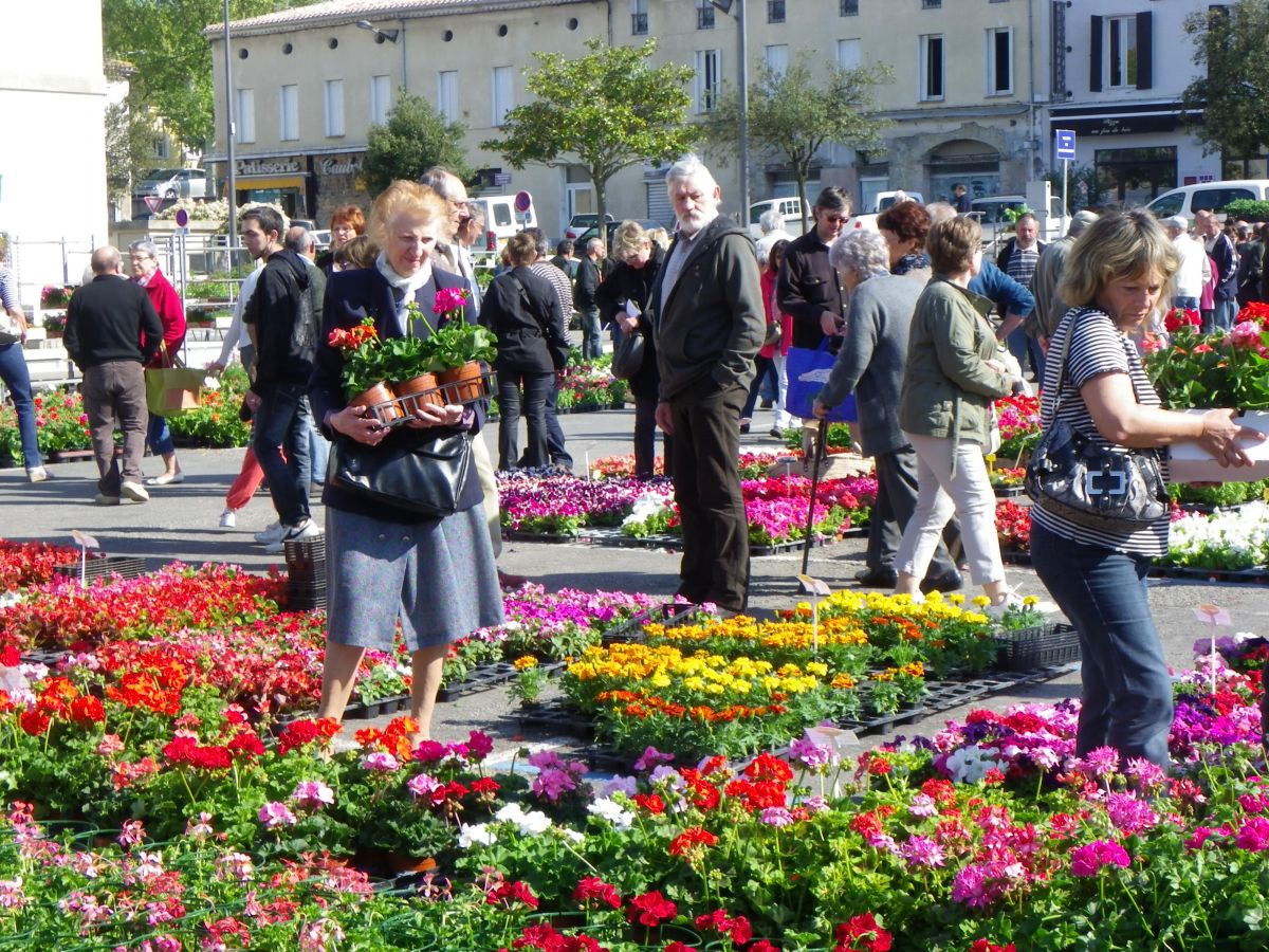 FOIRE AUX FLEURS